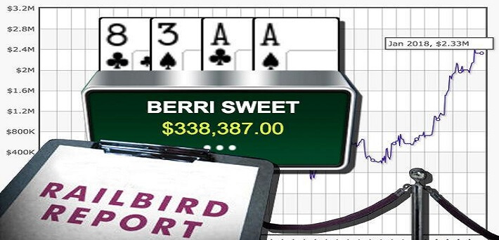BERRI SWEET is the biggest winner at the online high stakes in 2017