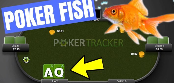 How to Play Against Fish in Poker